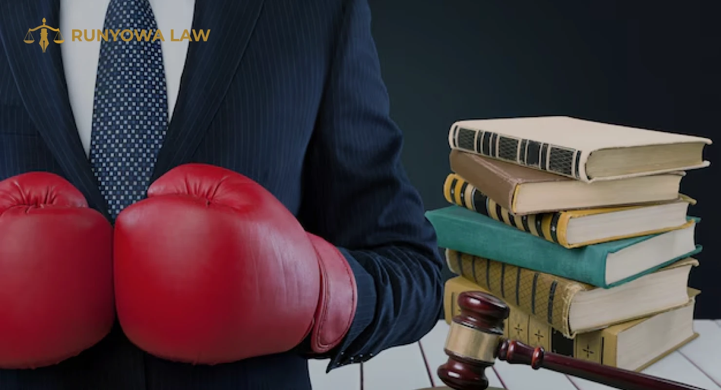 Top Reasons Every Boxer